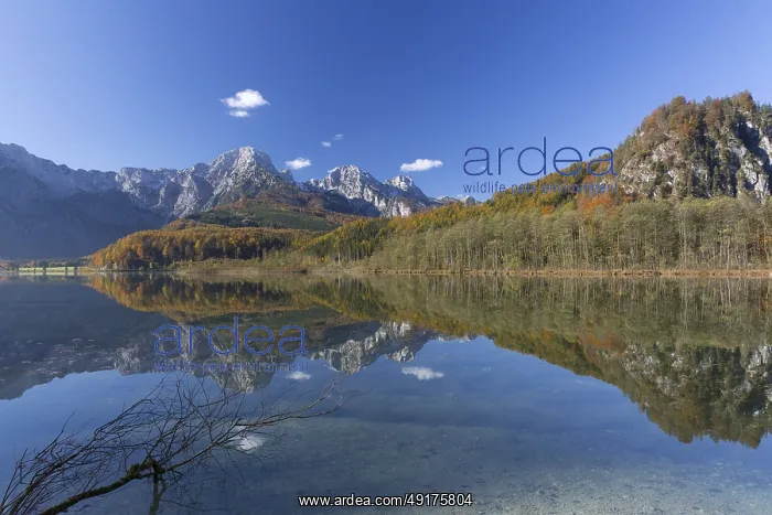  : Autumn mood at lake Almsee, Grunau