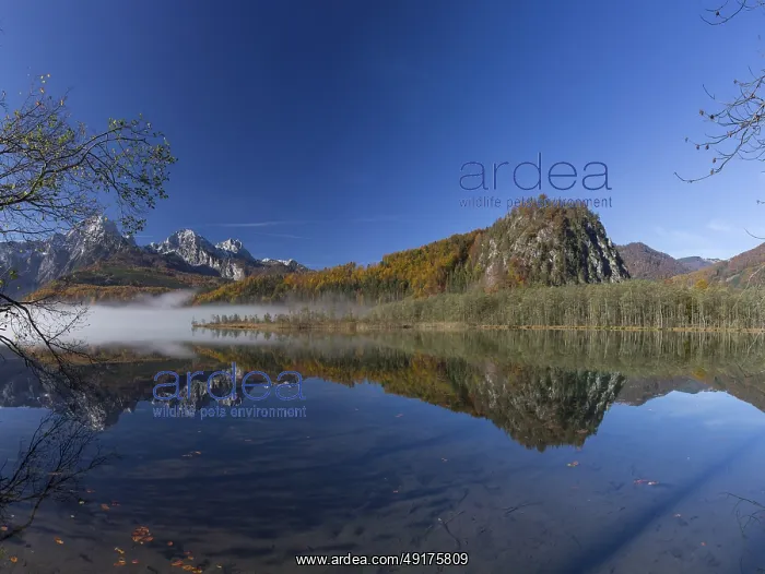 : Autumn mood at lake Almsee, Grunau