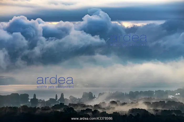 : Autumn morning at Lake Constance, clouds and fog : Autumn morning at Lake Constance, clouds and fog