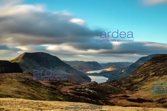 : Autumn Mountain Landscape with Cloudy Sky, Buttermere : Autumn Mountain Landscape with Cloudy Sky, Buttermere