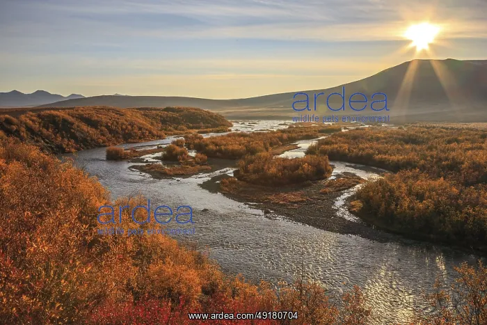 : Autumn sunrise over the Blackstone River in the Yukon Territory : Autumn sunrise over the Blackstone River in the Yukon Territory