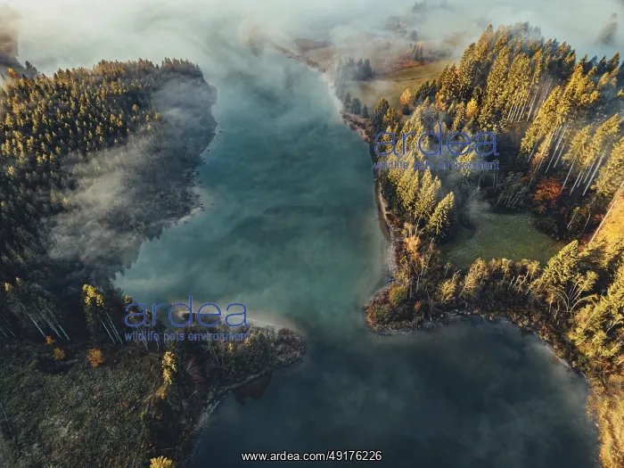 : Autumn sunrise in the foothills of the Alps with fog at Illasbergsee and Forggensee near Halblech in Allgau : Autumn sunrise in the foothills of the Alps with fog at Illasbergsee and Forggensee near Halblech in Allgau
