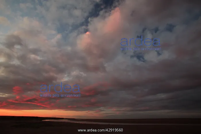 : Autumn Sunset - over the mudflats : Autumn Sunset - over the mudflats