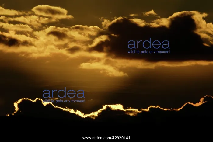 : Autumn Sunset - over North Sea : Autumn Sunset - over North Sea