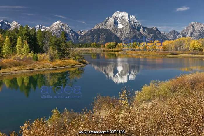 : Autumn view of Mount Moran and Snake River, Grand : Autumn view of Mount Moran and Snake River, Grand