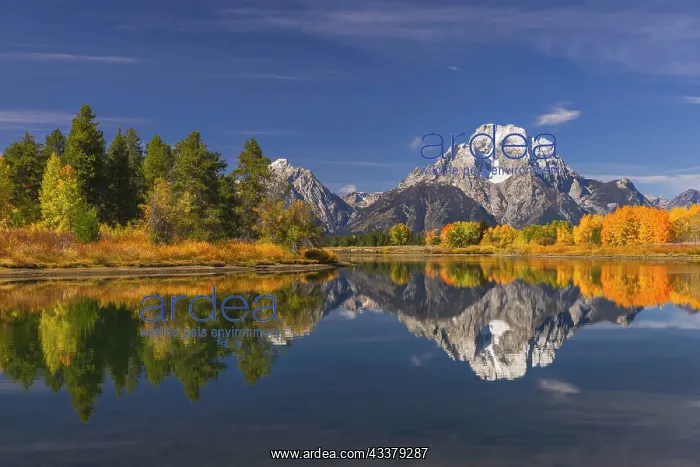 : Autumn view of Mount Moran and Snake River, Grand : Autumn view of Mount Moran and Snake River, Grand