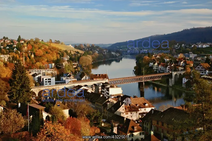 : Autumn view of Rhine River from Munot Castle : Autumn view of Rhine River from Munot Castle