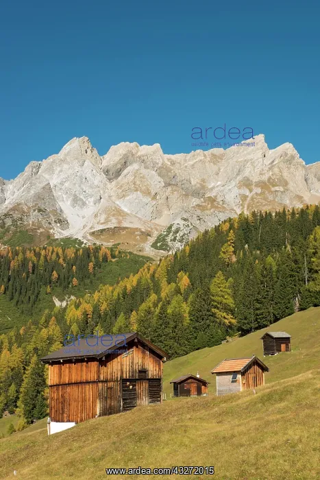 : Autumnal mountain landscape with alpine huts, behind : Autumnal mountain landscape with alpine huts, behind