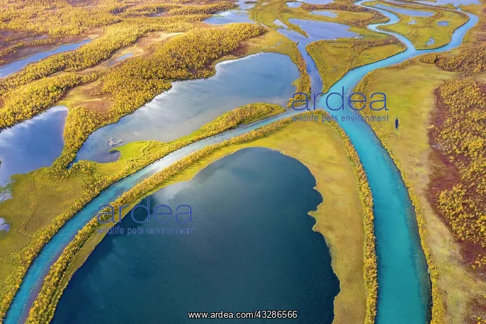 : Autumnal river landscape from the air, detail view : Autumnal river landscape from the air, detail view