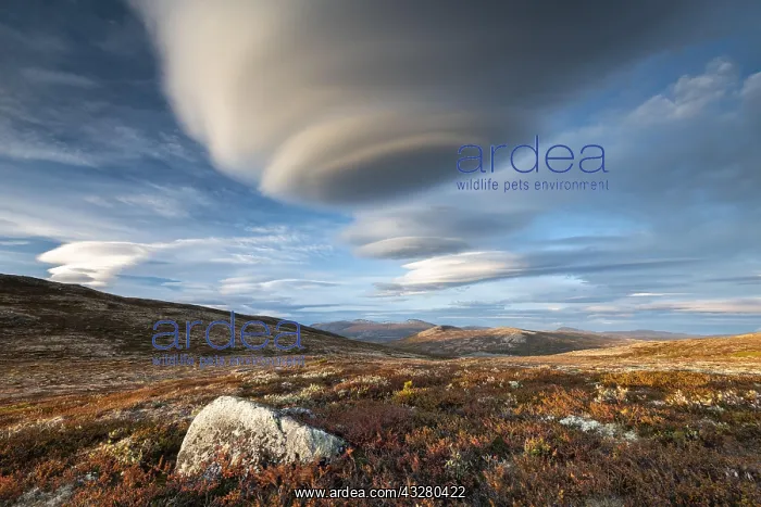 : Autumnal Tundral landscape in Dovrefjell, Lenticularis : Autumnal Tundral landscape in Dovrefjell, Lenticularis
