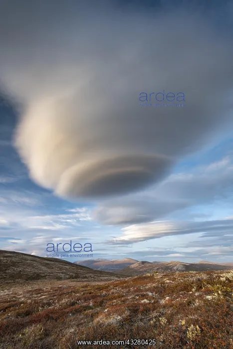 : Autumnal Tundral landscape in Dovrefjell, Lenticularis : Autumnal Tundral landscape in Dovrefjell, Lenticularis