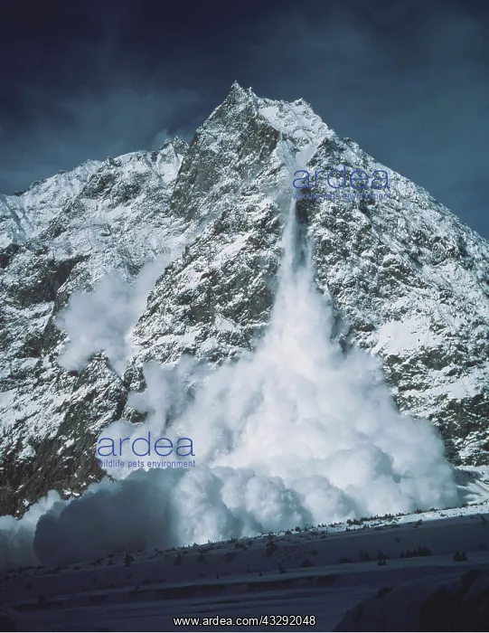 : AVALANCHE : AVALANCHE