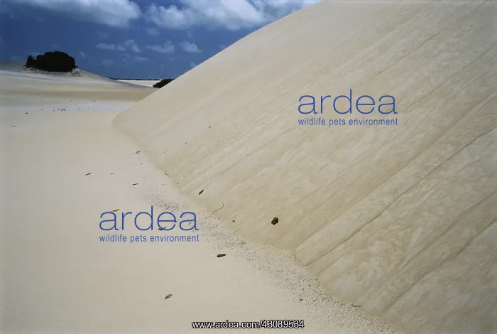 : Avalanche Chutes on Sand : Avalanche Chutes on Sand
