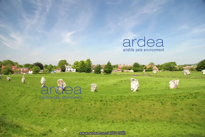 : Avebury, England. Similar to Stonehenge : Avebury, England. Similar to Stonehenge