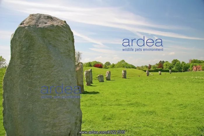  : Avebury, England. Similar to Stonehenge