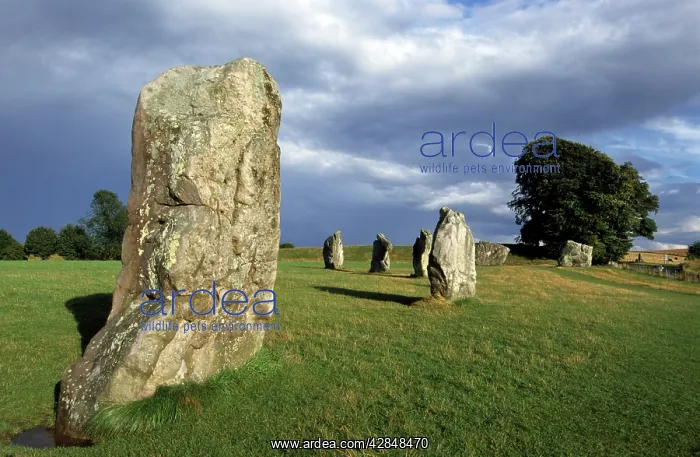 : Avebury Henge : Avebury Henge
