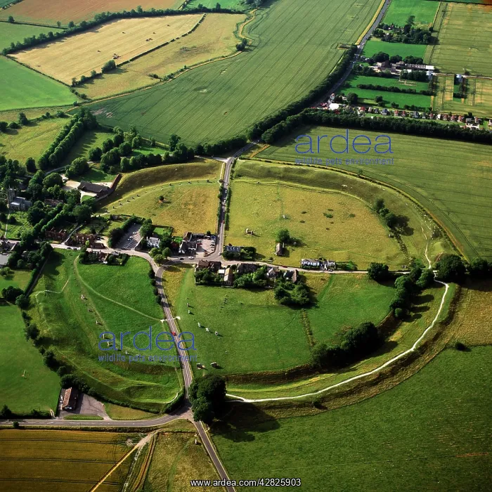 : Avebury, Neolithic Monument, site of a large henge : Avebury, Neolithic Monument, site of a large henge