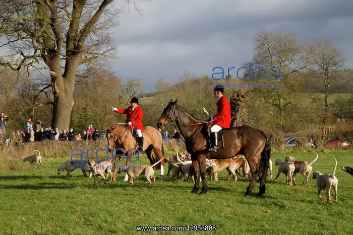 : The Avon Vale Hunt - Boxing Day meet : The Avon Vale Hunt - Boxing Day meet