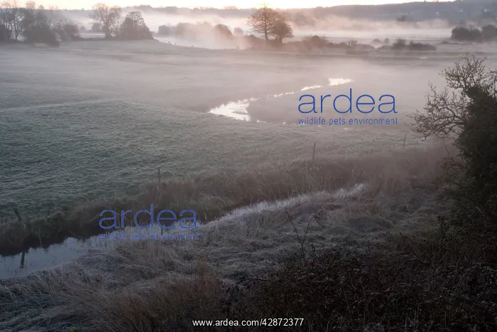 : Avon Valley (Hampshire) floodplain at dawn, near Breamore : Avon Valley (Hampshire) floodplain at dawn, near Breamore