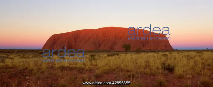 : Ayers Rock - Uluru - shortly after sunset : Ayers Rock - Uluru - shortly after sunset