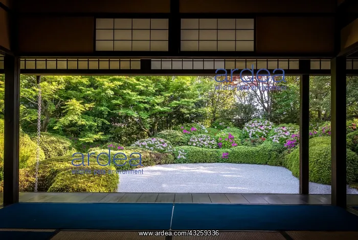 : Azalea's full bloom in Jozanji temple, Anjo, Japan : Azalea's full bloom in Jozanji temple, Anjo, Japan