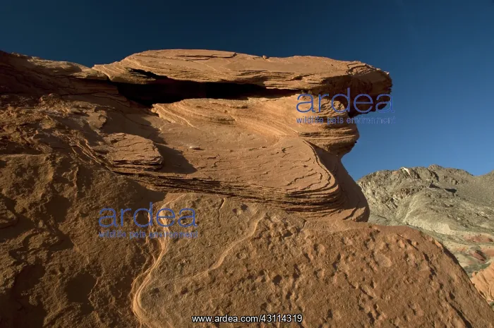 : Aztec Sandstone, Lake Mead : Aztec Sandstone, Lake Mead