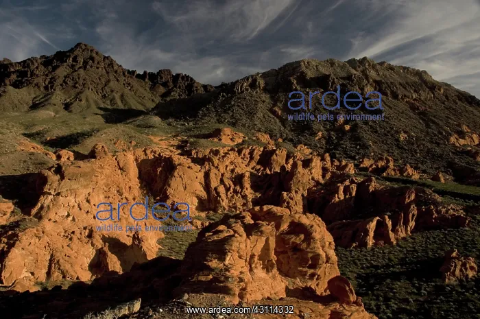 : Aztec Sandstone, Lake Mead : Aztec Sandstone, Lake Mead