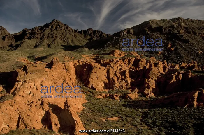 : Aztec Sandstone, Lake Mead : Aztec Sandstone, Lake Mead