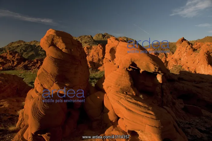 : Aztec Sandstone, Lake Mead : Aztec Sandstone, Lake Mead