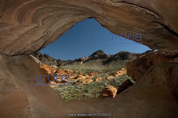 : Aztec Sandstone, Lake Mead : Aztec Sandstone, Lake Mead