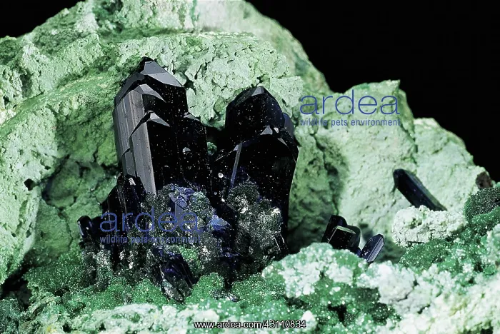 : Azurite with Arsentsumebite : Azurite with Arsentsumebite
