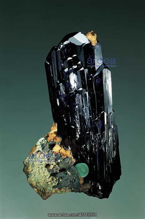 : Azurite on Limonite : Azurite on Limonite