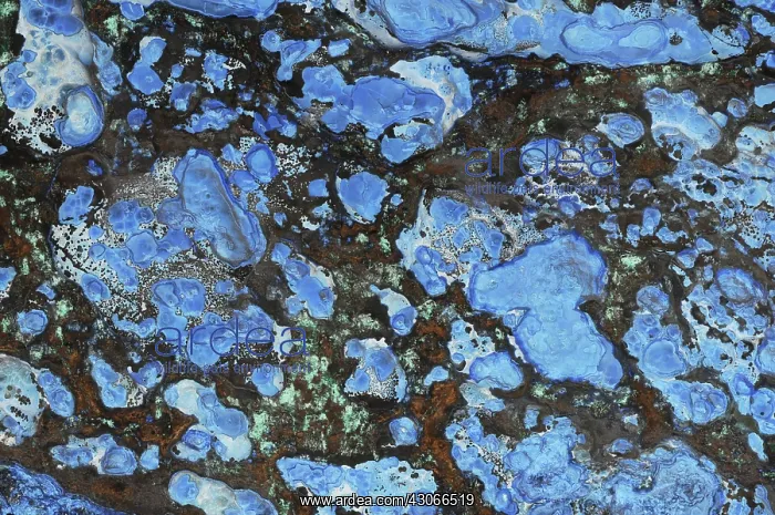 : Azurite and Malachite : Azurite and Malachite