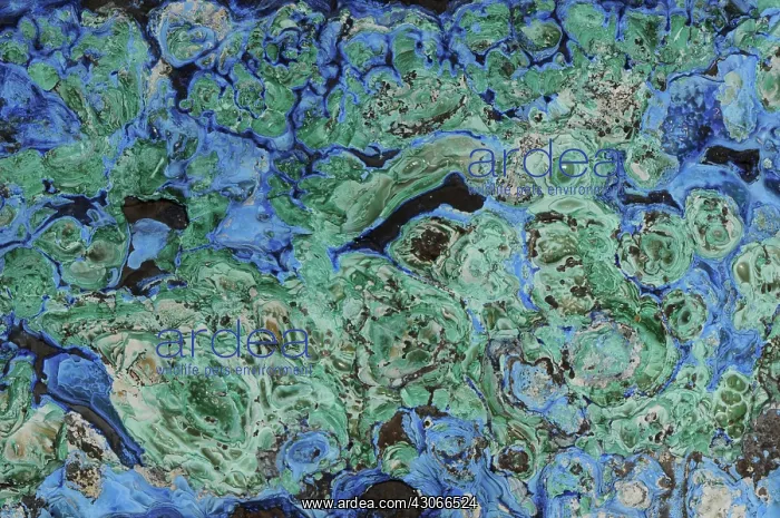 : Azurite and Malachite : Azurite and Malachite