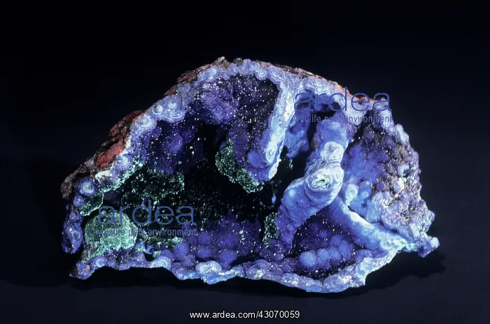 : Azurite with malachite from Bisbee, Arizona : Azurite with malachite from Bisbee, Arizona