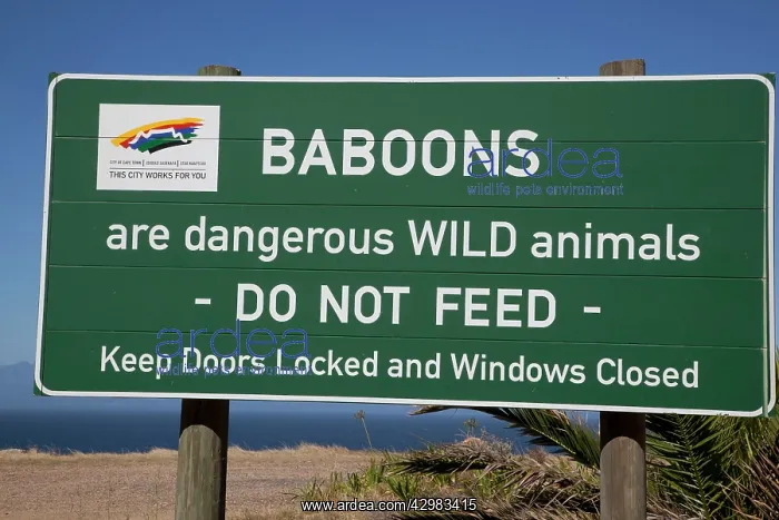 : Baboon warning sign : Baboon warning sign