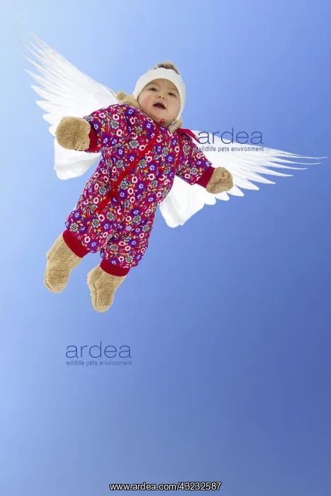 : Baby girl with wings, flying angel. model released : Baby girl with wings, flying angel. model released
