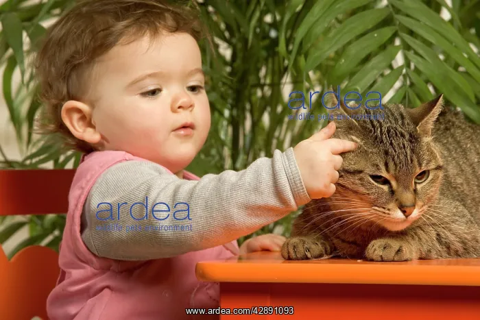  : Baby  /  Infant - with Cat