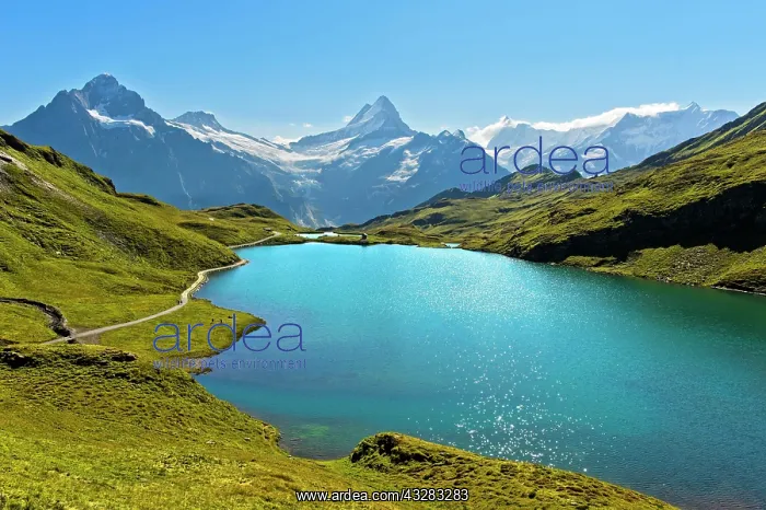 : Bachalpsee and the peaks Schreckhorn and Finsteraarhorn : Bachalpsee and the peaks Schreckhorn and Finsteraarhorn