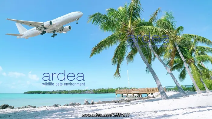  : background for an tourism concept