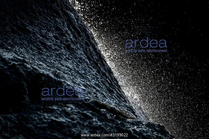  : Backlight, spring, water jet, water drop, Icelandic