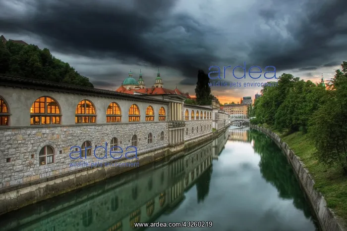 : Backside of Market Colonnade and Ljubljanica : Backside of Market Colonnade and Ljubljanica