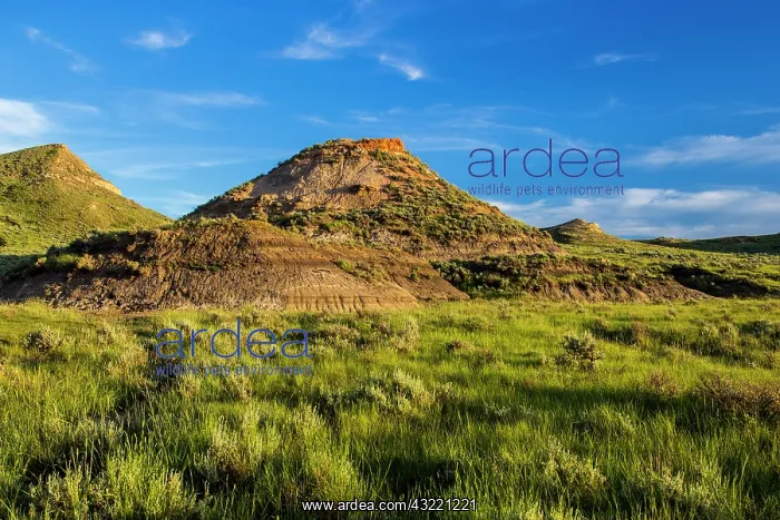  : Badland formations in short grass prairie