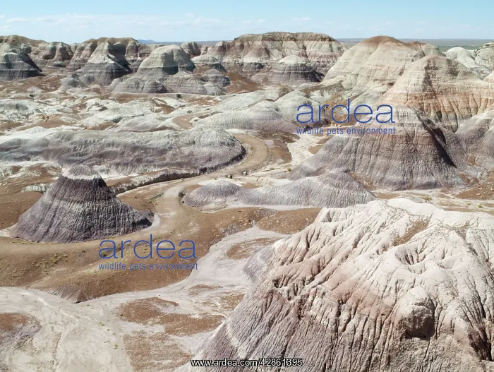 : Badland hills of bluish bentonite clay at Blue Mesa : Badland hills of bluish bentonite clay at Blue Mesa