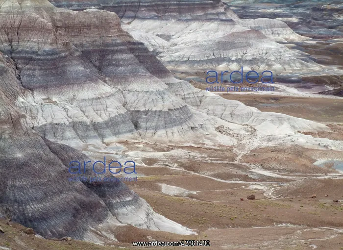: Badland hills of bluish bentonite clay at Blue Mesa : Badland hills of bluish bentonite clay at Blue Mesa