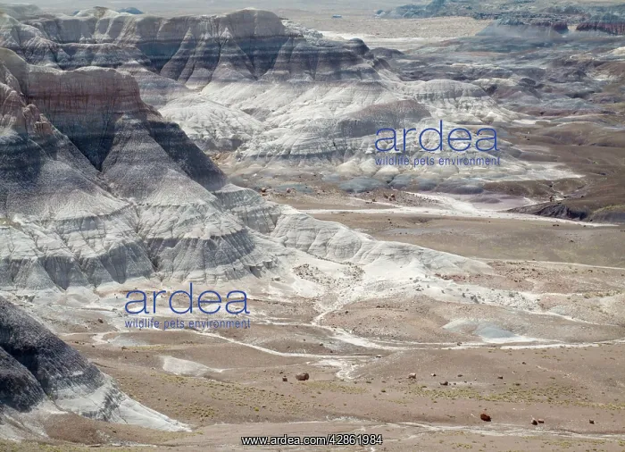 : Badland hills of bluish bentonite clay at Blue Mesa : Badland hills of bluish bentonite clay at Blue Mesa