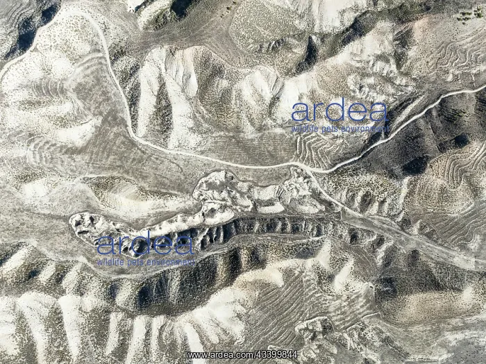 : Badlands. Aerial view. Drone shot. Granada province : Badlands. Aerial view. Drone shot. Granada province