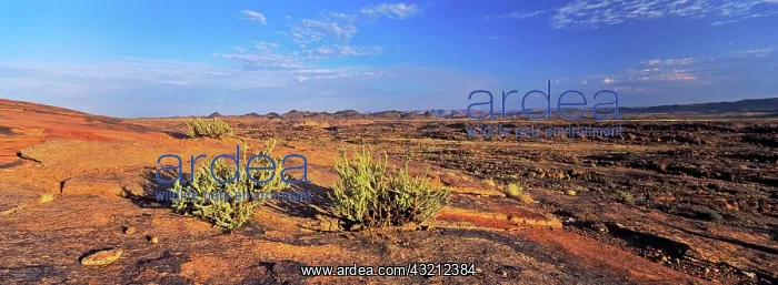  : Badlands of the Augrabies Falls National