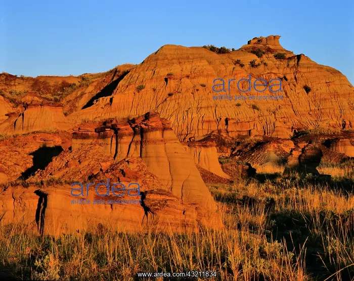 : Badlands at Dinosaur Provincial Park in : Badlands at Dinosaur Provincial Park in