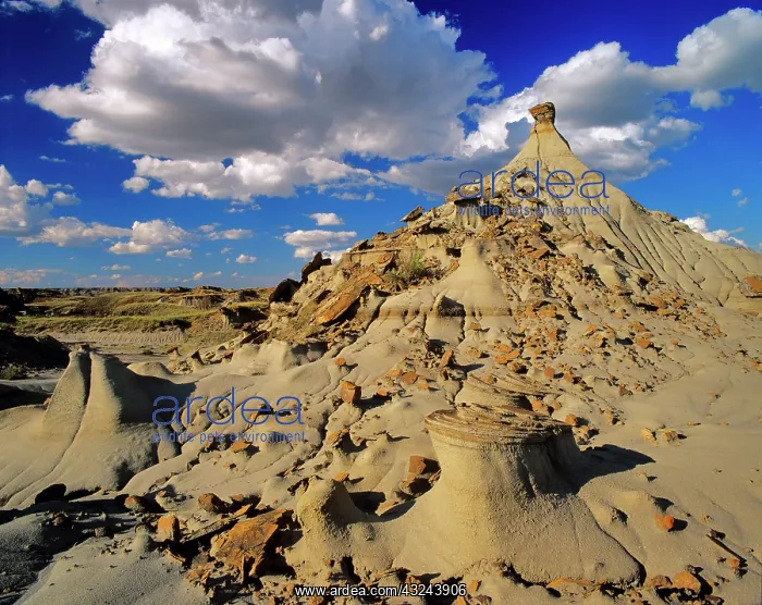: Badlands at Dinosaur Provincial Park in : Badlands at Dinosaur Provincial Park in